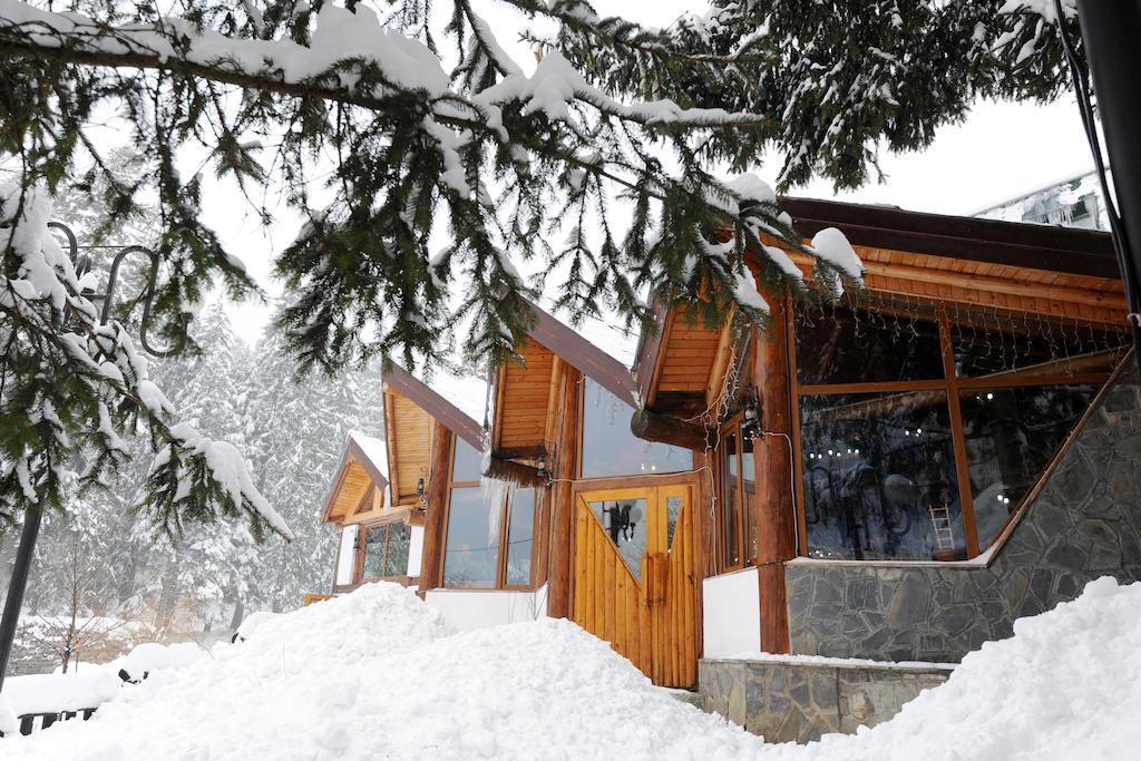 Gura Diham Mini-hôtel Buşteni